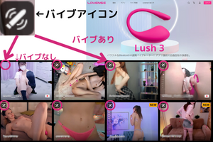遠隔バイブ説明